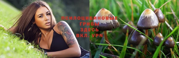 Альфа ПВП Алексин