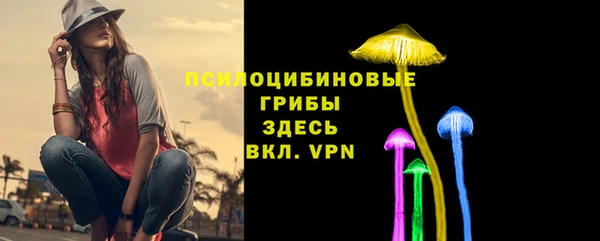 Альфа ПВП Алексин