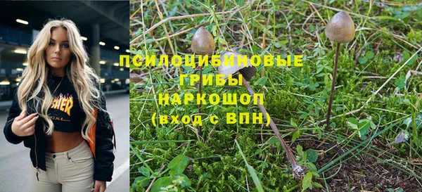 Альфа ПВП Алексин