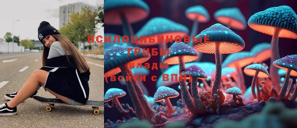 круглые Осташков