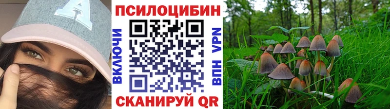 Галлюциногенные грибы ЛСД Владивосток